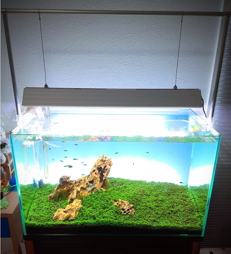 アクロトライアングル90cm grow 中古 - 魚用品